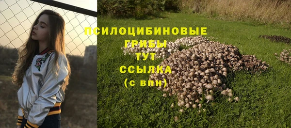 крисы Балабаново