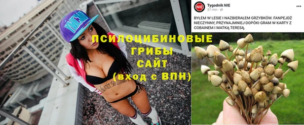 МДПВ Медвежьегорск