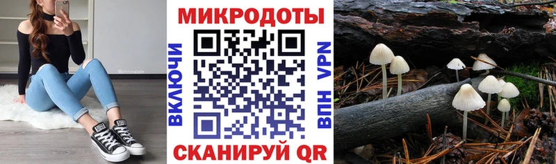 Галлюциногенные грибы Magic Shrooms  цена   mega зеркало  Бирюсинск 